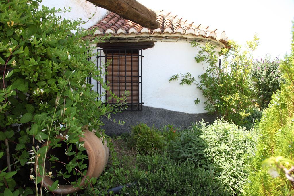 Cuevas Del Zenete Apartment Alcudia de Guadix Exterior photo